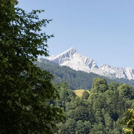 Bergnest * جارمش بارتنكيرشن